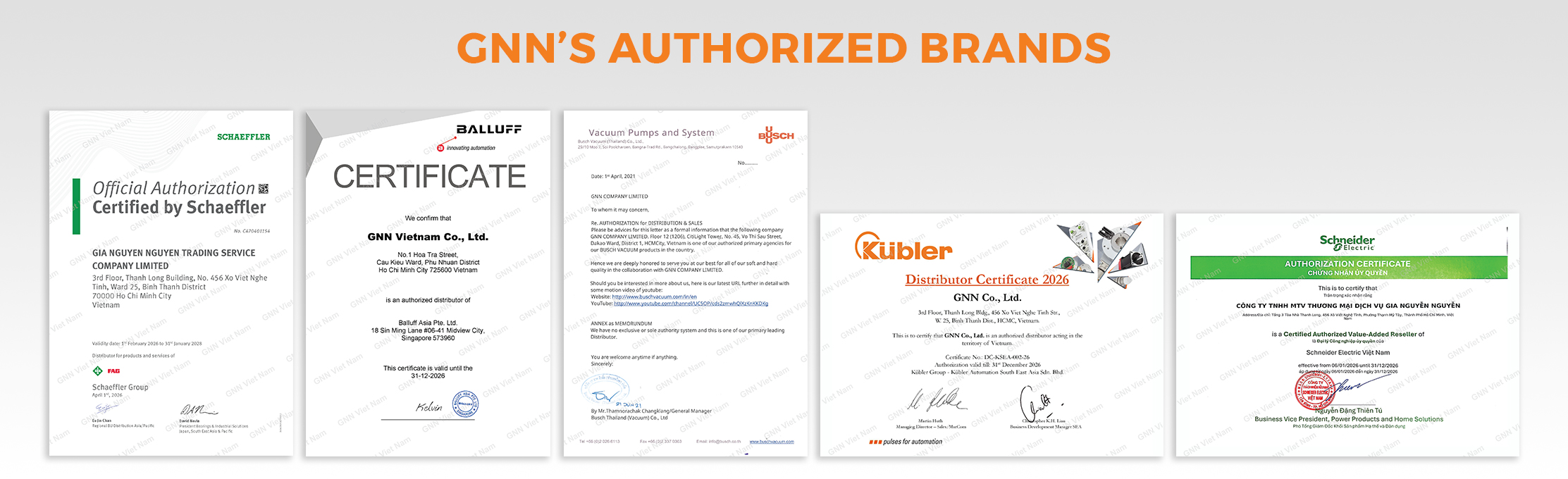 GNN AUTHORIZED BRANDS